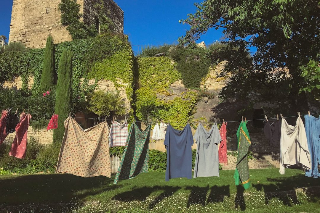 How Safe Is SHEIN for Shopping and Payments?