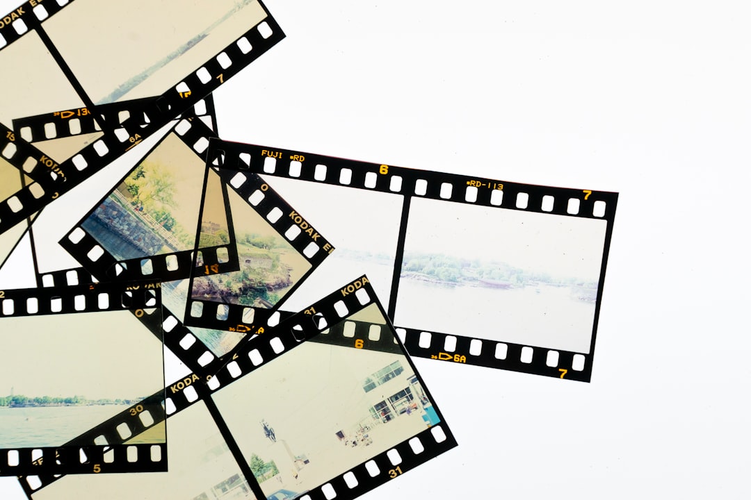 Software for Asset Management: A Complete Guide