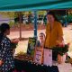 Local Ecommerce Marketing Agencies: What to Look For