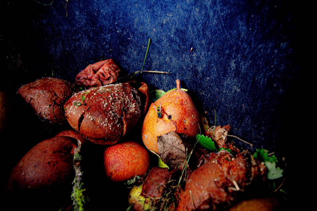 What Do Minecraft Pigs Eat (Feed & Breed)