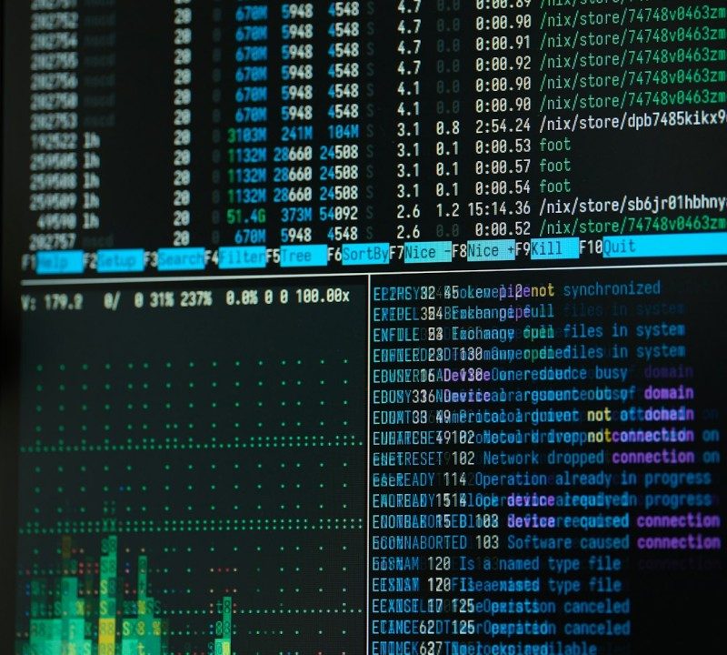 Reverse Image Search for Faces: 10 Tools That Beat Google