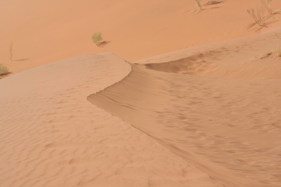 Emulator Works, but Game Doesn’t in Playnite? Fix Guide