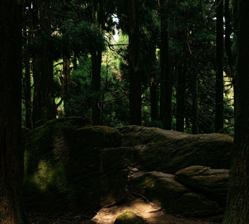 Dihward: Uncovering the Hidden Gems of a Unique Destination