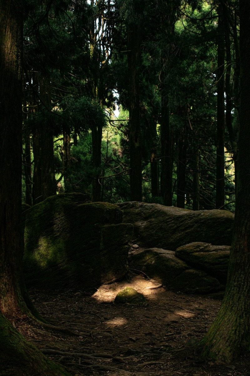 Dihward: Uncovering the Hidden Gems of a Unique Destination