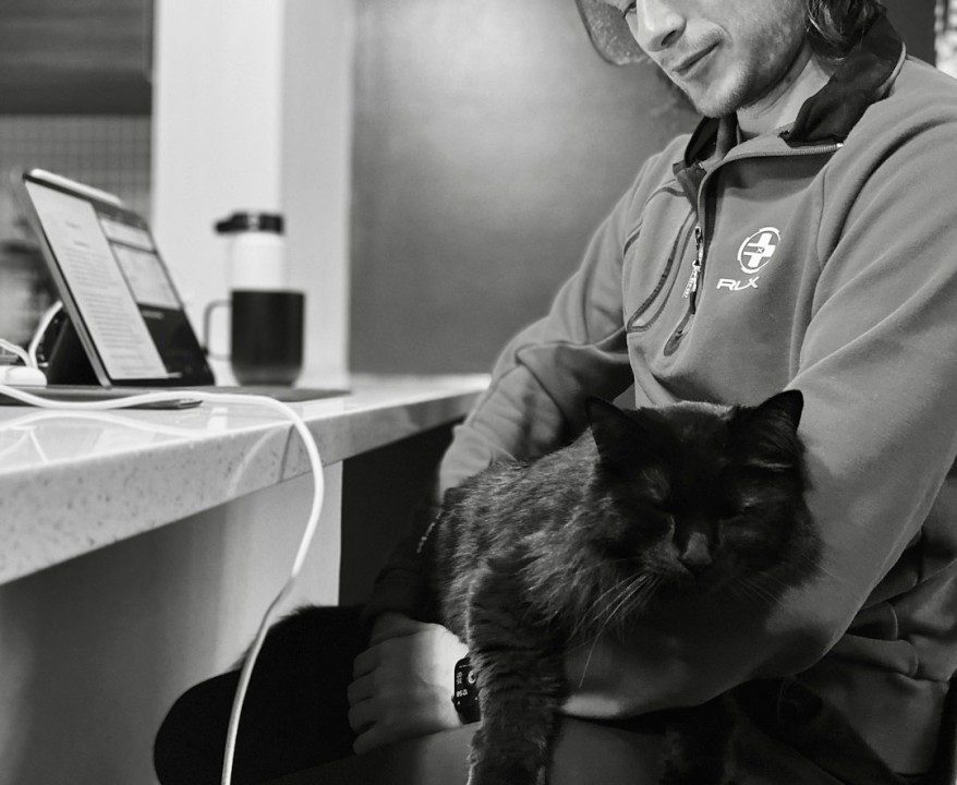 5 Veterinary Practice Apps Like Cornerstone That Help Manage Clinics Efficiently