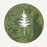 Oleander - A Blog & Shop Theme