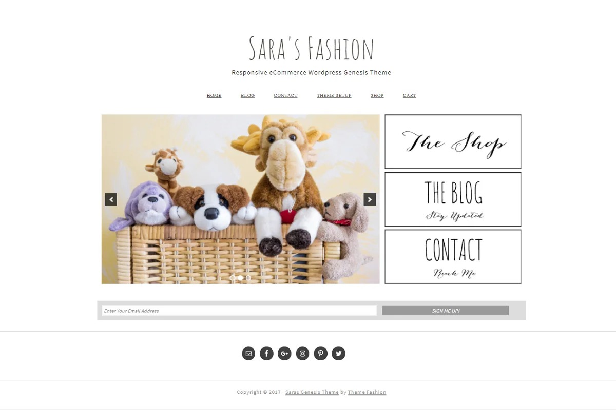 Ecommerce WordPress Theme